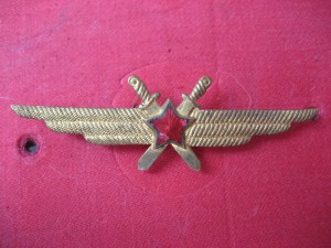 Знак летчика