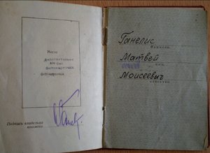 Грудь полковника-еврея.(все доки)