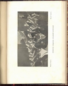 Фромантен. Старинные мастера 1913