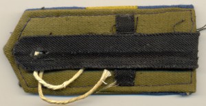 Женская форма ВВС.