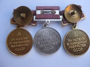 Комплект заслуженного виноградаря сибири