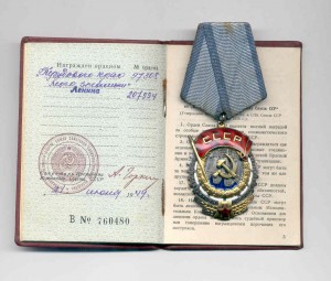 Трудовик №97308