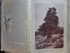 Книга "Крым: путеводитель" 1914г. Иллюстрации.