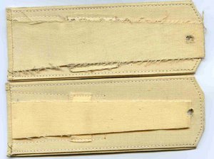 АДМИРАЛЬСКИЕ ПОГОНЫ