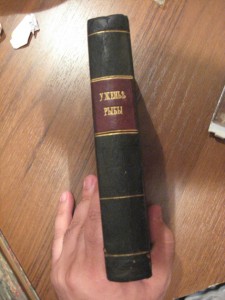 уженье рыбы 1871