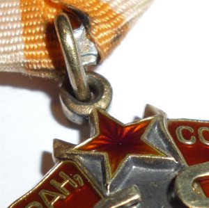 Супруги Медики