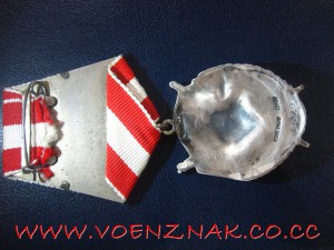 БКЗ, ласточкин хвост