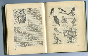 Записная книжка пионера