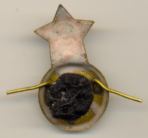 Половина кокарды ВМФ