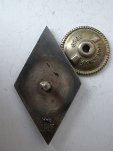 ОИИМФ в серебре.