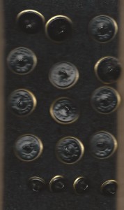 пуговицы на шинель