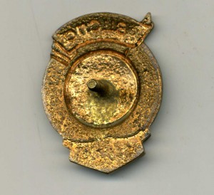 Чемпион ВЦСПС,1954 г.,брусья