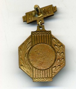 Чемпион БССР,1950,гимнастика,упражнения на кольцах