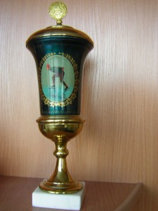 Спортивный кубок______живопись...