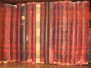 Живописная Россия 18 книг