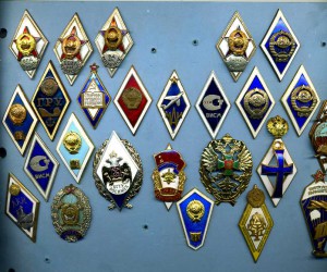 Солянка знаков