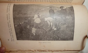 Батумъ 1911г.
