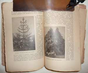 Батумъ 1911г.