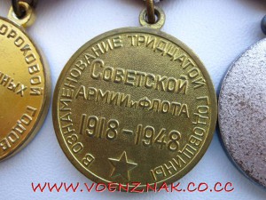 Грудь