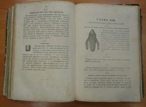 НОВАЯ СКРИЖАЛЬ - 1858 года = Ваши знания на церковную тему!