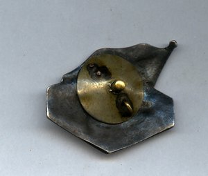 РЕДКИЙ ЗНАК В СЕРЕБРЕ