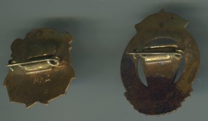 Дружинник спасатель и Юный акт. спорта.