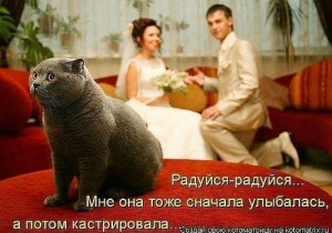 Краб 3 ст № 5***