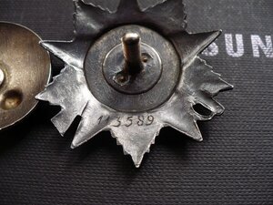 Отечка 2 ст. № 113т. (канава)