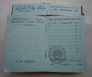 Трудовые Славы с доком