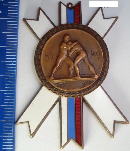Знак Борьба.Эмаль.Бронза.