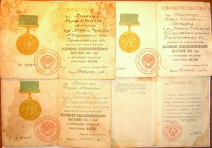 ТКЗ 386тыс + док + ВСХВ (женщина)
