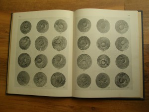 Книга - Таллеры в Русском денежном обращении в 1654 - 1659 г