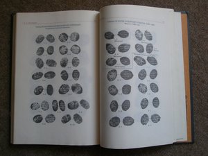 Книга - Русские монеты от Ивана Грозного до Петра Первого.