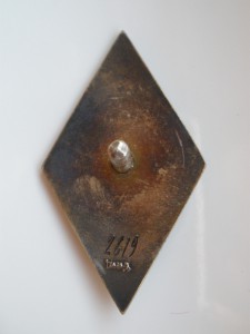 ЛВИМУ в серебре.