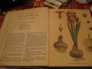 Ботанический атлас 1883г.