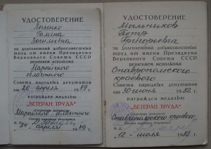 Два дока на ВЕТ.ТРУДА разные