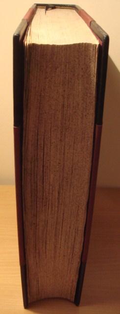 К 100-летию Одессы, 1895 год
