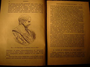 Книги. Много книг.