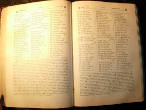 Книги. Много книг.