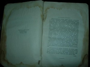 Книги. Много книг.