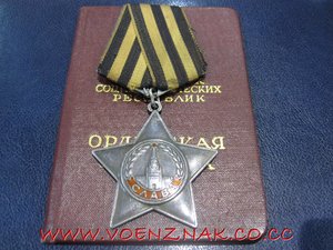 Слава с чертой,№700т., 3й степени, на доке, боевой