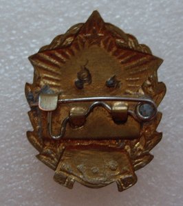 СВУ  СССР ( на заколке )