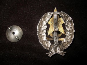 Петроградские  воздухоплавательные  командные  курсы  РККА