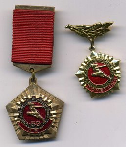 ГТО 50+ почётный.