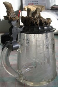 ПИВНАЯ КРУЖКА стекло, кость