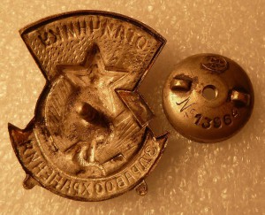 ОТЛИЧНИКИ  ЗДРАВООХРАНЕНИЯ  (БОЛЬШИЕ)