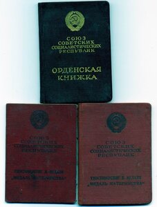 Материнская сл 3 с медалями 1 и 2 ст с документом