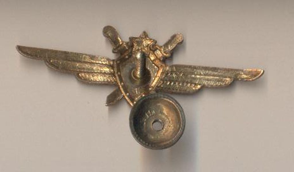 Летчик 1 класса