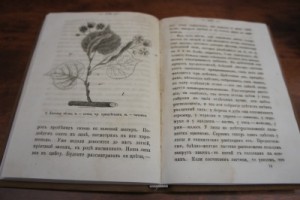 беседы о природе 1869