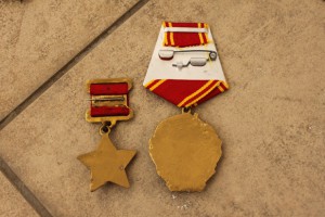 Комплект муляжей ГСС Красилова А.П.